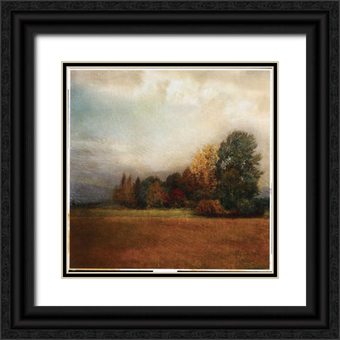 Autumn Horizon II Black Ornate Wood Framed Art Print with Double Matting by Melious, Amy