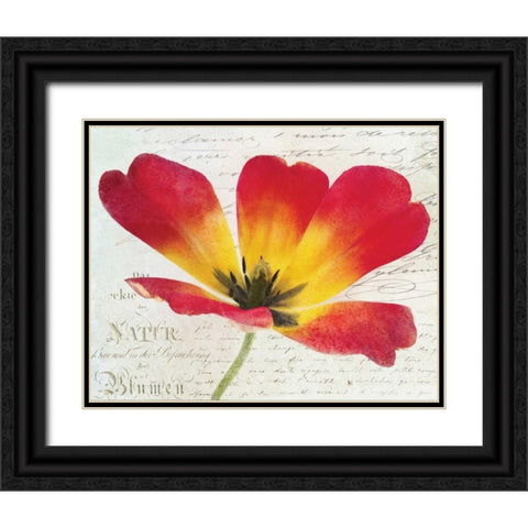 Bloom I Black Ornate Wood Framed Art Print with Double Matting by Melious, Amy
