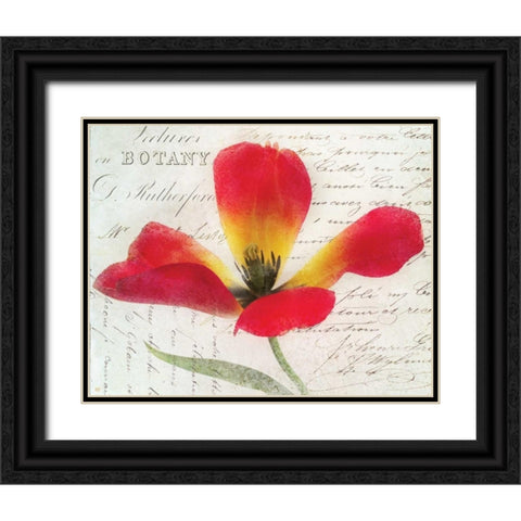 Bloom II Black Ornate Wood Framed Art Print with Double Matting by Melious, Amy