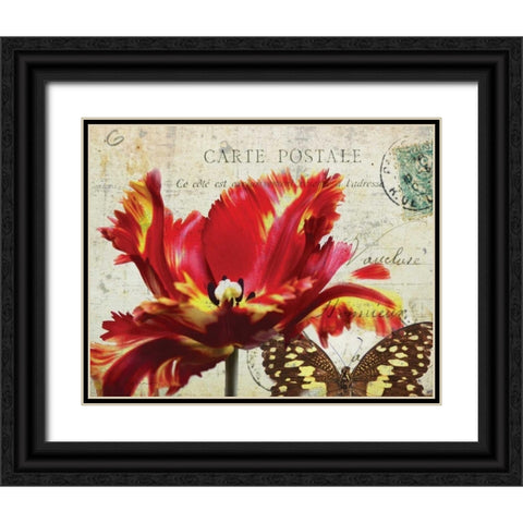 Carte Postale Tulip I Black Ornate Wood Framed Art Print with Double Matting by Melious, Amy