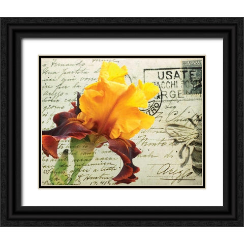 Carte Postale Iris Black Ornate Wood Framed Art Print with Double Matting by Melious, Amy