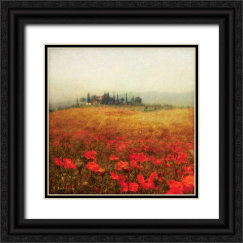 Tuscan Poppies Black Ornate Wood Framed Art Print with Double Matting by Melious, Amy