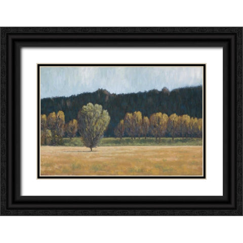 Cottonwood Country I Black Ornate Wood Framed Art Print with Double Matting by Macnab, John