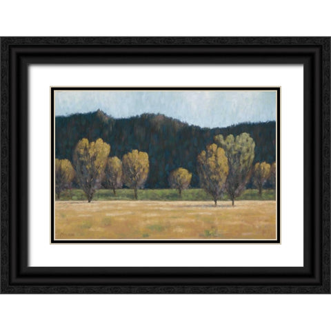 Cottonwood Country II Black Ornate Wood Framed Art Print with Double Matting by Macnab, John
