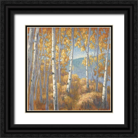 Fall Aspen I Black Ornate Wood Framed Art Print with Double Matting by Macnab, John
