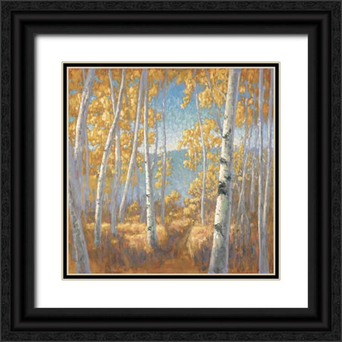 Fall Aspen I Black Ornate Wood Framed Art Print with Double Matting by Macnab, John