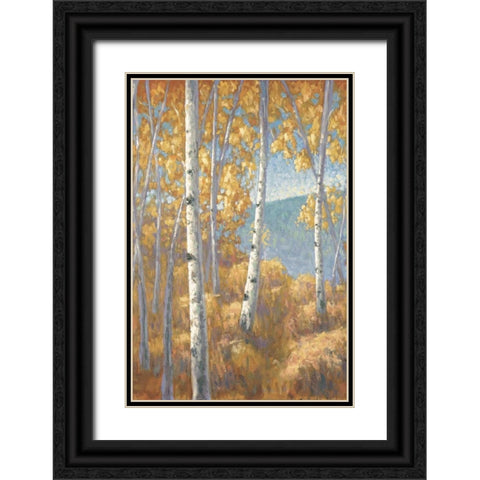 Aspen Forest I Black Ornate Wood Framed Art Print with Double Matting by Macnab, John