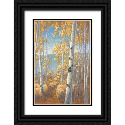 Aspen Forest II Black Ornate Wood Framed Art Print with Double Matting by Macnab, John