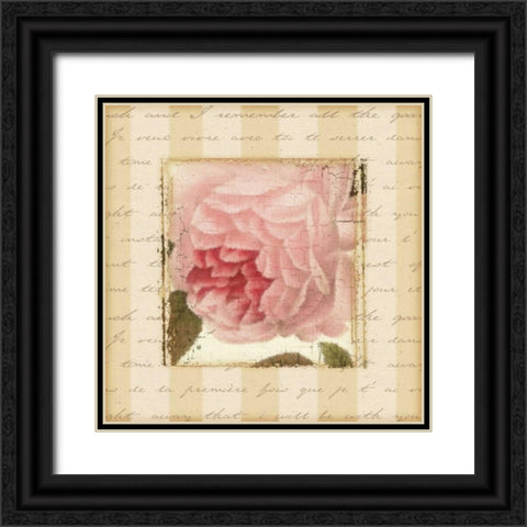 Rose and Romance II Black Ornate Wood Framed Art Print with Double Matting by Pela Design