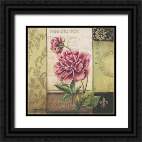Le Jardin Secret II Black Ornate Wood Framed Art Print with Double Matting by Poloson, Kimberly