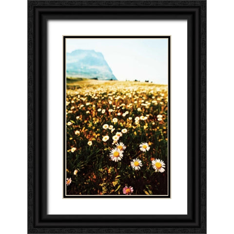 Mountain Summer I Black Ornate Wood Framed Art Print with Double Matting by Berzel, Erin