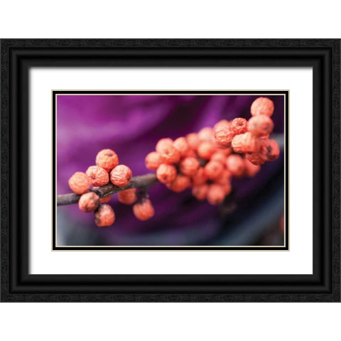Wild Berries I Black Ornate Wood Framed Art Print with Double Matting by Berzel, Erin
