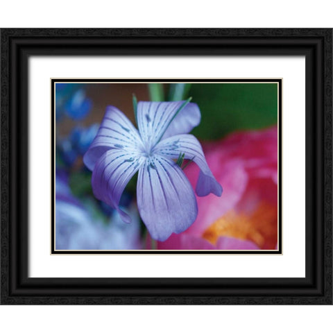 Delicate Flower I Black Ornate Wood Framed Art Print with Double Matting by Berzel, Erin