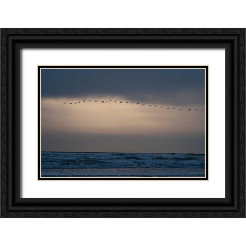 Oregon Coast Sunset II Black Ornate Wood Framed Art Print with Double Matting by Berzel, Erin