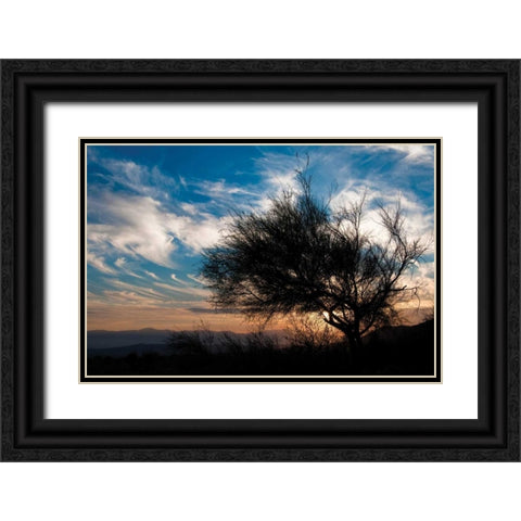 Sunset in Joshua Tree I Black Ornate Wood Framed Art Print with Double Matting by Berzel, Erin