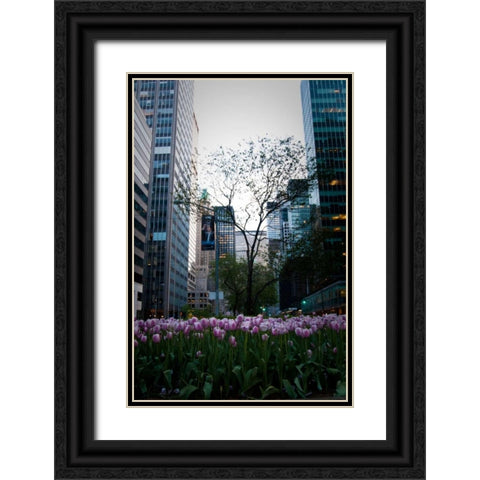 Tulips in Manhattan Black Ornate Wood Framed Art Print with Double Matting by Berzel, Erin