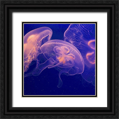 Jellyfish Dance I Black Ornate Wood Framed Art Print with Double Matting by Crane, Rita