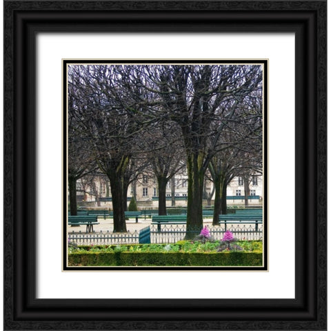 Jardin de Notre Dame I Black Ornate Wood Framed Art Print with Double Matting by Crane, Rita