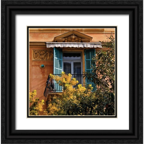 Momosa at the Window Black Ornate Wood Framed Art Print with Double Matting by Crane, Rita