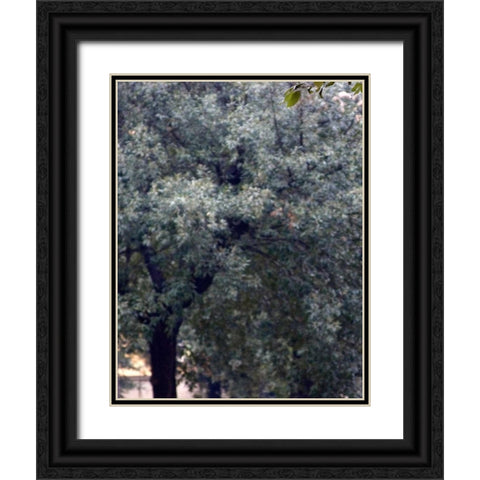 Bambino I Black Ornate Wood Framed Art Print with Double Matting by Crane, Rita