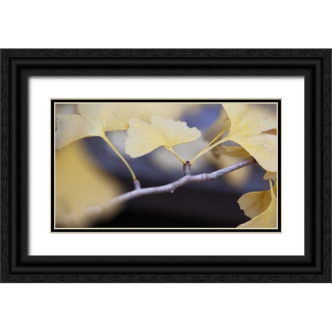 Autumn Gingko I Black Ornate Wood Framed Art Print with Double Matting by Crane, Rita