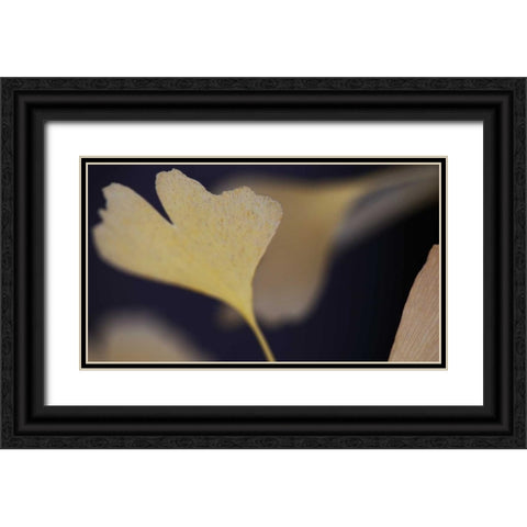 Autumn Gingko II Black Ornate Wood Framed Art Print with Double Matting by Crane, Rita