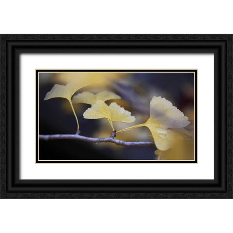 Autumn Gingko III Black Ornate Wood Framed Art Print with Double Matting by Crane, Rita