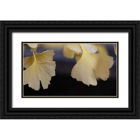 Autumn Gingko IV Black Ornate Wood Framed Art Print with Double Matting by Crane, Rita