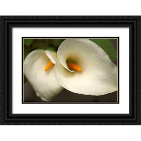 Calla Lilies III Black Ornate Wood Framed Art Print with Double Matting by Crane, Rita