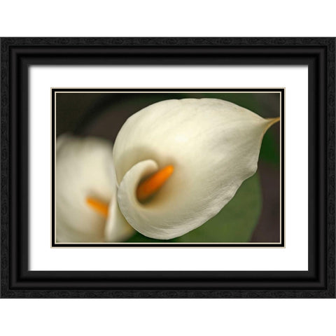 Calla Lilies V Black Ornate Wood Framed Art Print with Double Matting by Crane, Rita