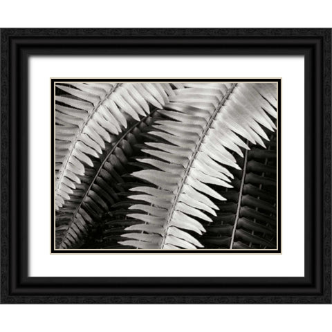 Fern I Black Ornate Wood Framed Art Print with Double Matting by Christensen, Jim