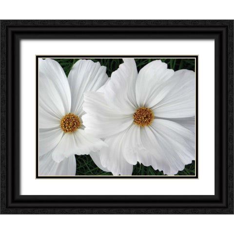 Cosmo Trail II Black Ornate Wood Framed Art Print with Double Matting by Christensen, Jim