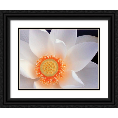 Lotus I Black Ornate Wood Framed Art Print with Double Matting by Christensen, Jim