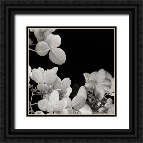 Flower Cluster 1 Black Ornate Wood Framed Art Print with Double Matting by Christensen, Jim