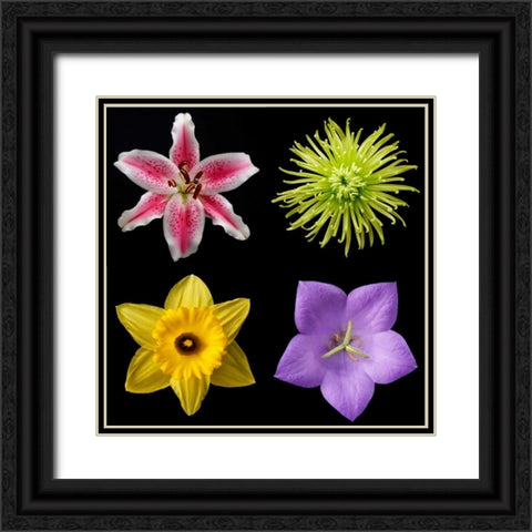 Flower Group 1 Black Ornate Wood Framed Art Print with Double Matting by Christensen, Jim