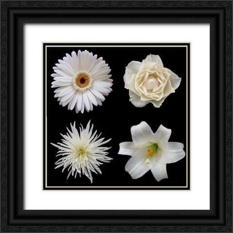 Flower Group 2 Black Ornate Wood Framed Art Print with Double Matting by Christensen, Jim