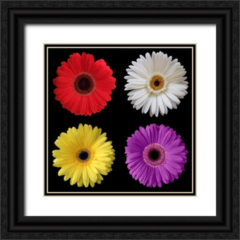 Gerber Group 2 Black Ornate Wood Framed Art Print with Double Matting by Christensen, Jim