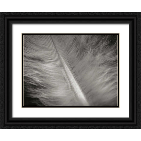Feather II Black Ornate Wood Framed Art Print with Double Matting by Christensen, Jim