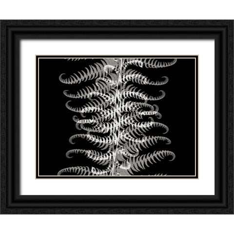 Ferns I Black Ornate Wood Framed Art Print with Double Matting by Christensen, Jim