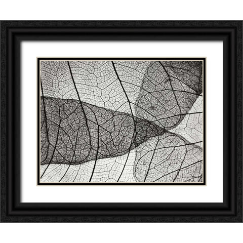 Leaf Designs II BW Black Ornate Wood Framed Art Print with Double Matting by Christensen, Jim