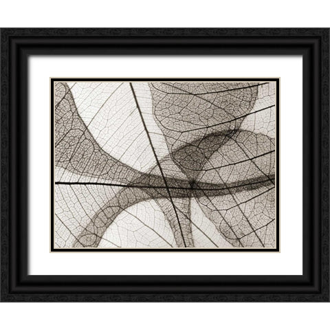 Leaf Designs I Sepia Black Ornate Wood Framed Art Print with Double Matting by Christensen, Jim