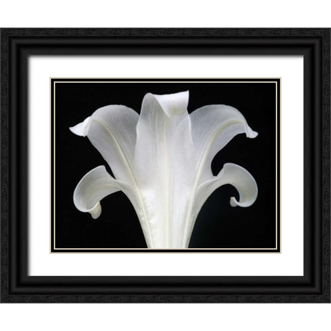 Lily on Black III Black Ornate Wood Framed Art Print with Double Matting by Christensen, Jim