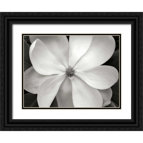Magnolia I Black Ornate Wood Framed Art Print with Double Matting by Christensen, Jim