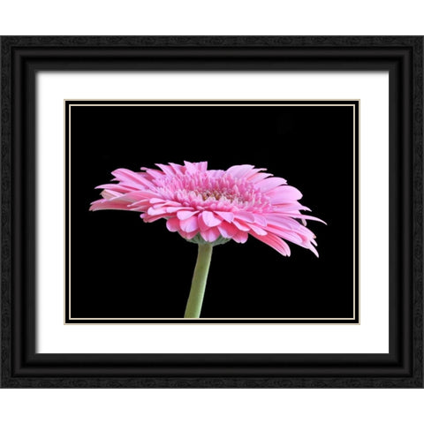 Gerber Angle III Black Ornate Wood Framed Art Print with Double Matting by Christensen, Jim