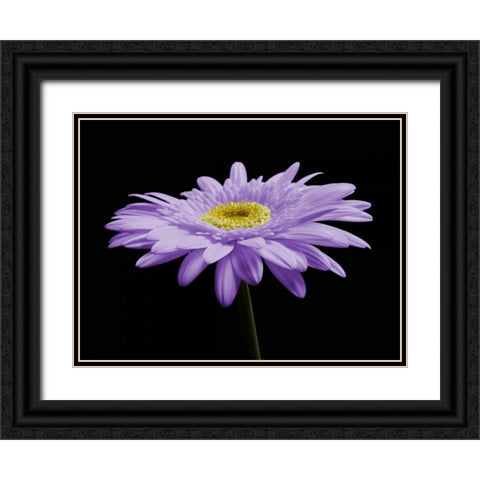Gerber Angle IV Black Ornate Wood Framed Art Print with Double Matting by Christensen, Jim