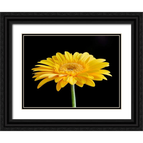 Gerber Angle VI Black Ornate Wood Framed Art Print with Double Matting by Christensen, Jim