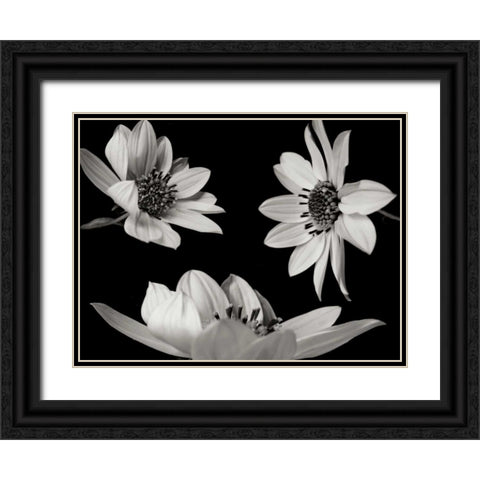 Trio I Black Ornate Wood Framed Art Print with Double Matting by Christensen, Jim