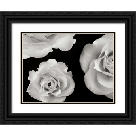 Trio II Black Ornate Wood Framed Art Print with Double Matting by Christensen, Jim