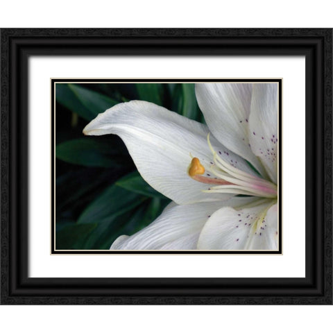 Macro Lily Black Ornate Wood Framed Art Print with Double Matting by Christensen, Jim