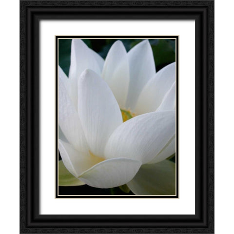 Lotus Black Ornate Wood Framed Art Print with Double Matting by Christensen, Jim